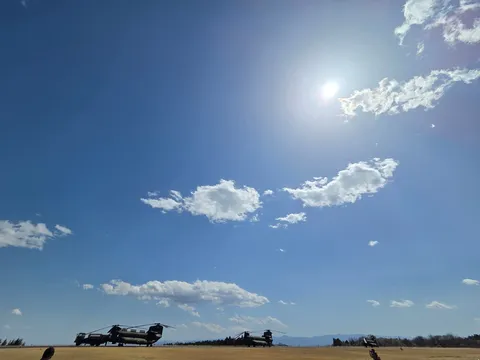 悠久の空と陸の巨鳥