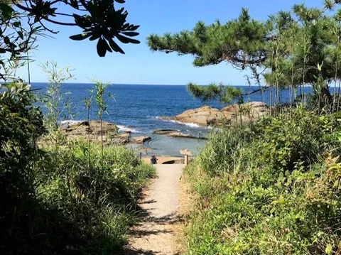 緑のトンネルを抜ける海の旅路