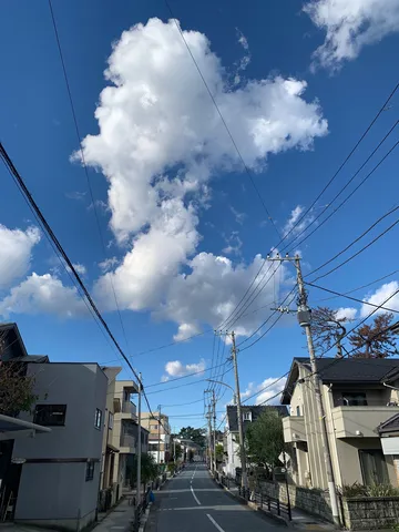 電線と雲のコントラスト