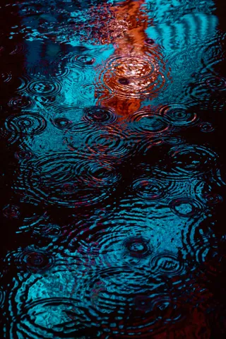 雨粒が描く、ネオンの円舞曲