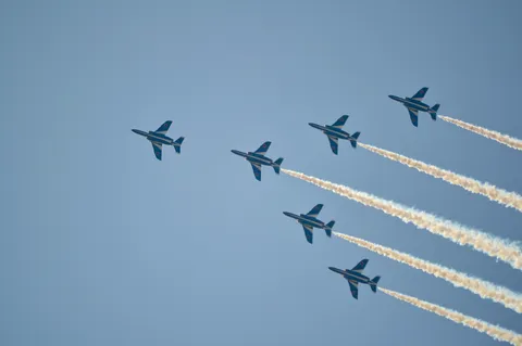 大空を舞う青い翼