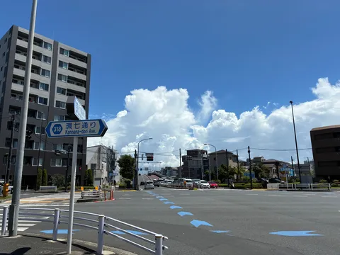 青空に映える環七通り