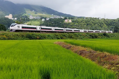 緑の田園を走る白い列車