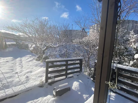 冬の朝、雪化粧した庭の静寂