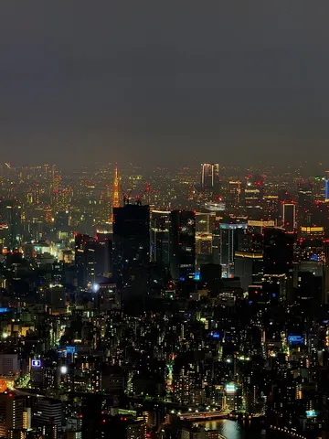 都会の夜景、光の海