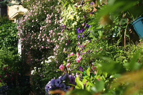 緑あふれる庭、色とりどりの花々