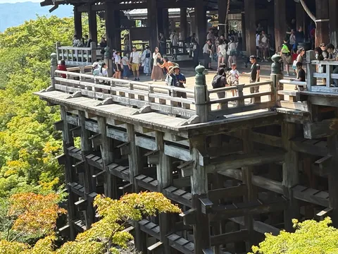 歴史と緑に抱かれる高舞台