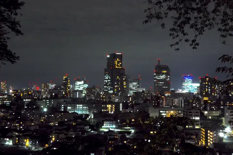夜景に灯る街の灯り