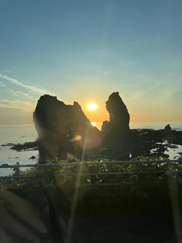 うまれた！