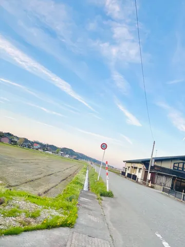風と道の穏やかな光景