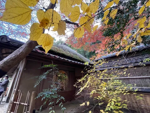 古都の風情、秋の彩り