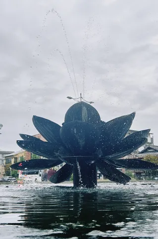 水面に映る蓮の花の噴水