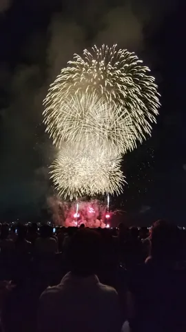夜空を彩る光の華