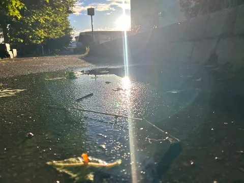 水たまり、本気の反射鏡