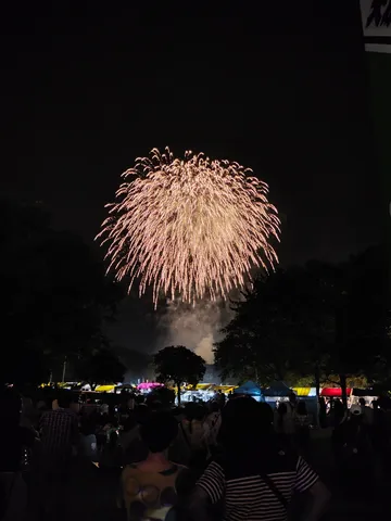 夜空に咲く大輪の花
