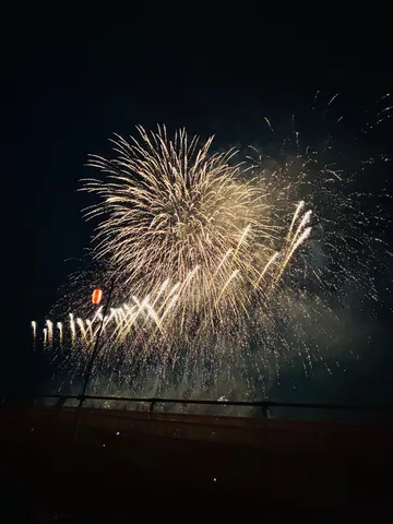 夜空に咲く、金色の華