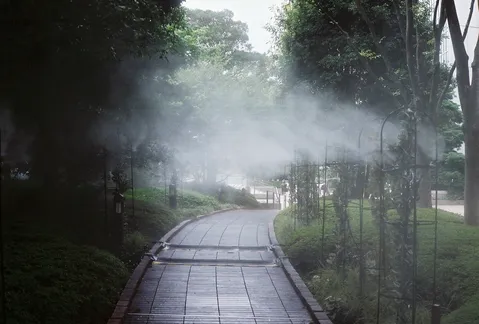 霧に包まれる神秘的な散歩道