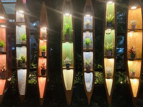 夜を彩る個性的な植物ディスプレイ