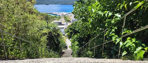 海へ続く緑の階段