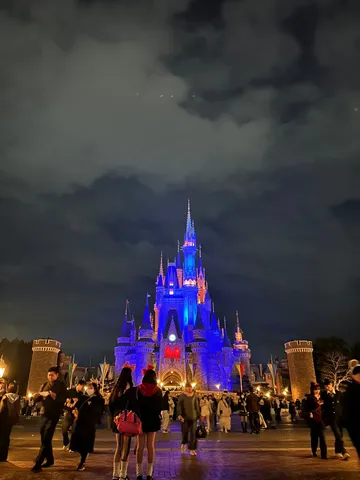 宵闇に輝く魔法の城