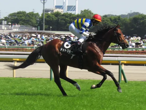 疾走する馬とジョッキー