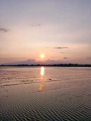 田んぼに映る夕焼け、絵画のような世界