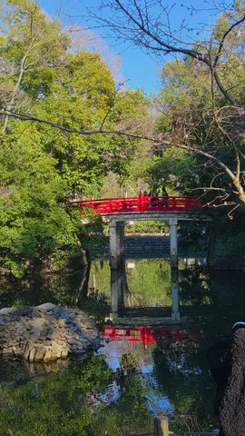 水面に映る、鮮やかな赤