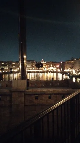 きらめく水面の夜景