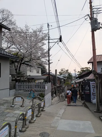桜咲く路地、春の日常