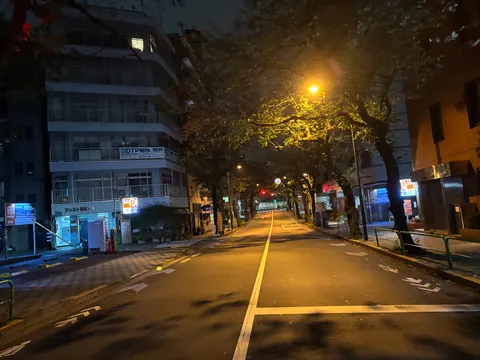 夜の帳、光が誘う街灯路