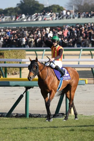 歓喜の瞬間、輝く勝利の馬