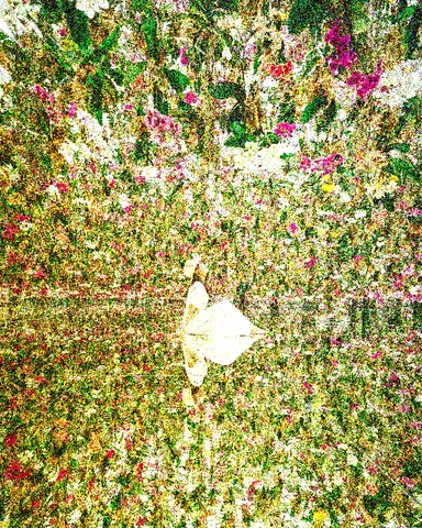 花と光のささやく庭