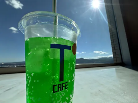 緑の涼感と窓辺の光