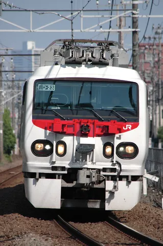 都会を駆ける、白い顔