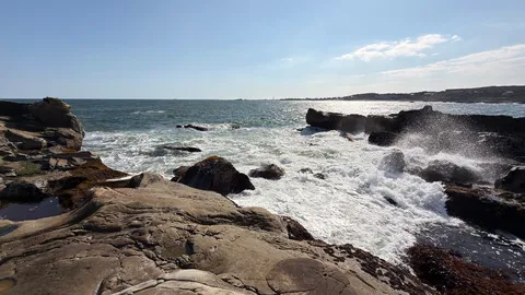 岩場のざわつく海辺