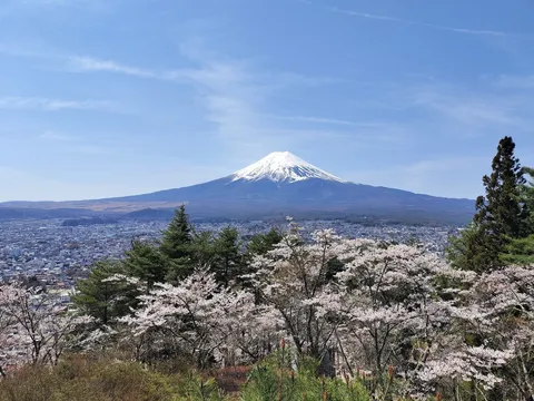 春霞の向こう、悠然とそびえる富士