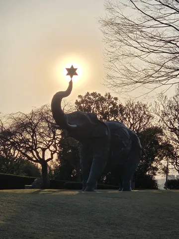 星を掴む象、夕日を背に