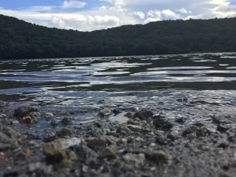 水際から覗く静寂