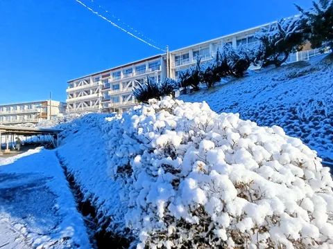 冬の青空と雪化粧