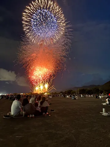 星々を束ねた夜の華