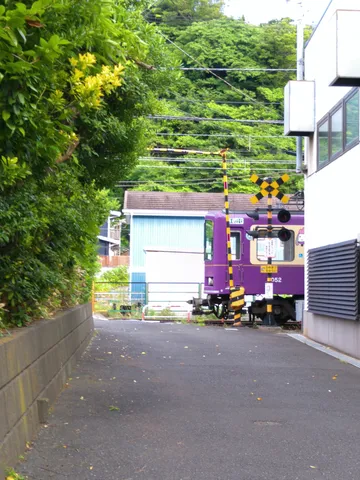 自然に囲まれる1002