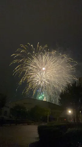 夜空を彩る金色の花火
