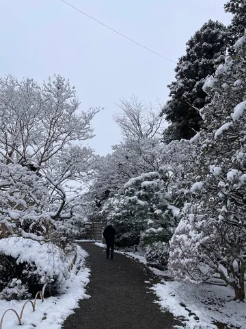 雪化粧の庭園を歩む人