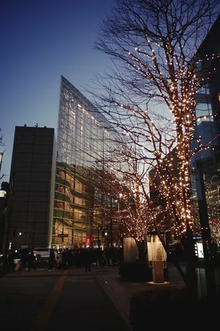 煌めく街路樹と都会の夜景