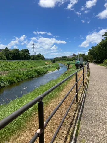 夏の水辺に揺れる風