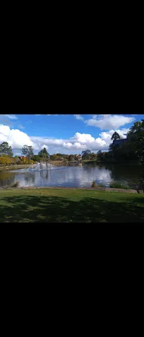 水辺に広がる静かな光景