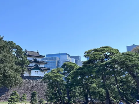 古城と近代建築のコントラスト
