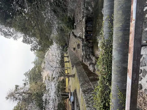 桜咲く水辺の散歩道