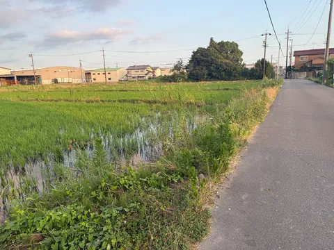 水辺の静かな路地