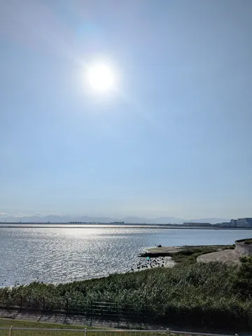 太陽が輝く水辺の風景